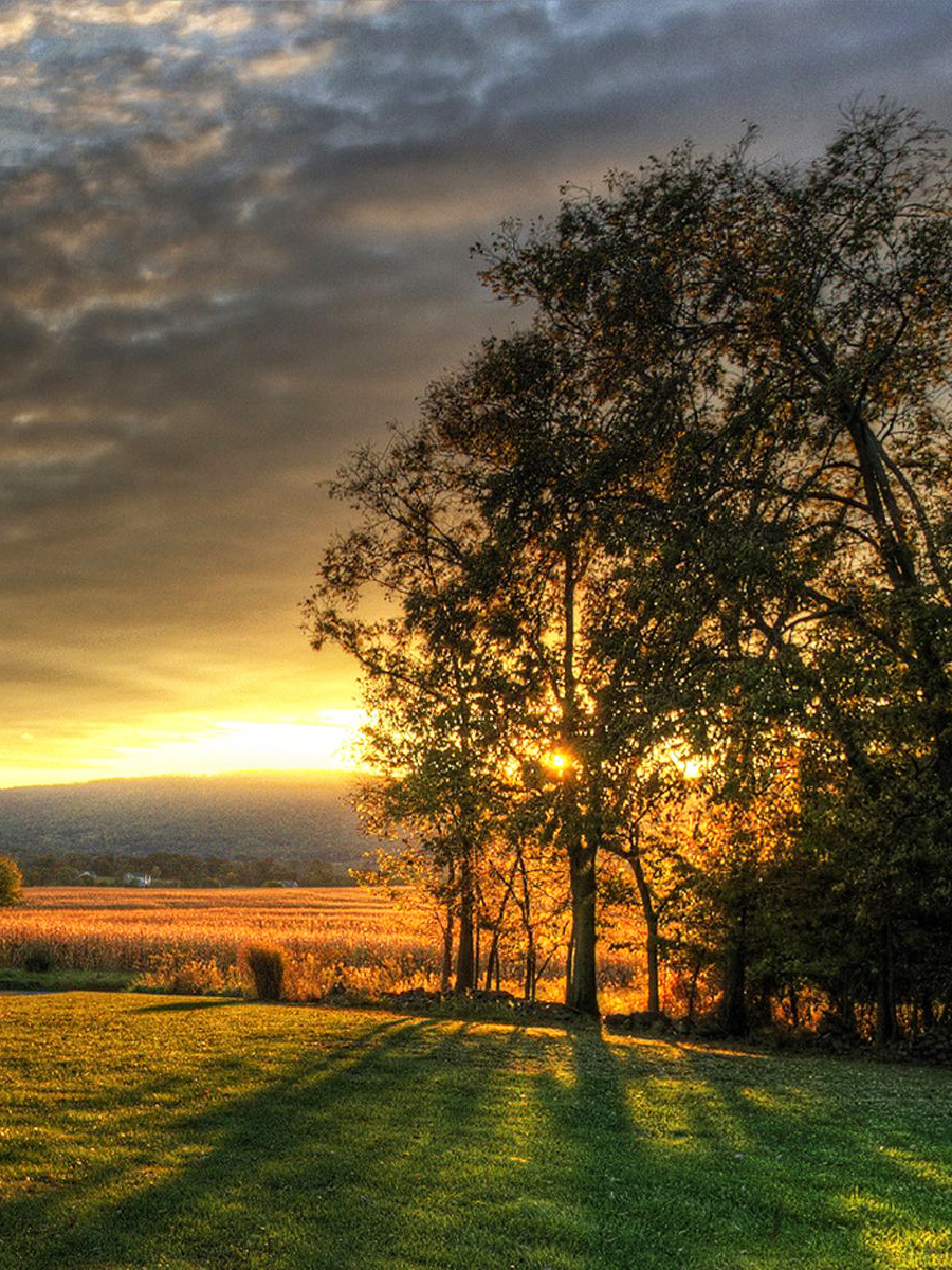 działki budowlane na sprzedaż działki budowlane na sprzedaż