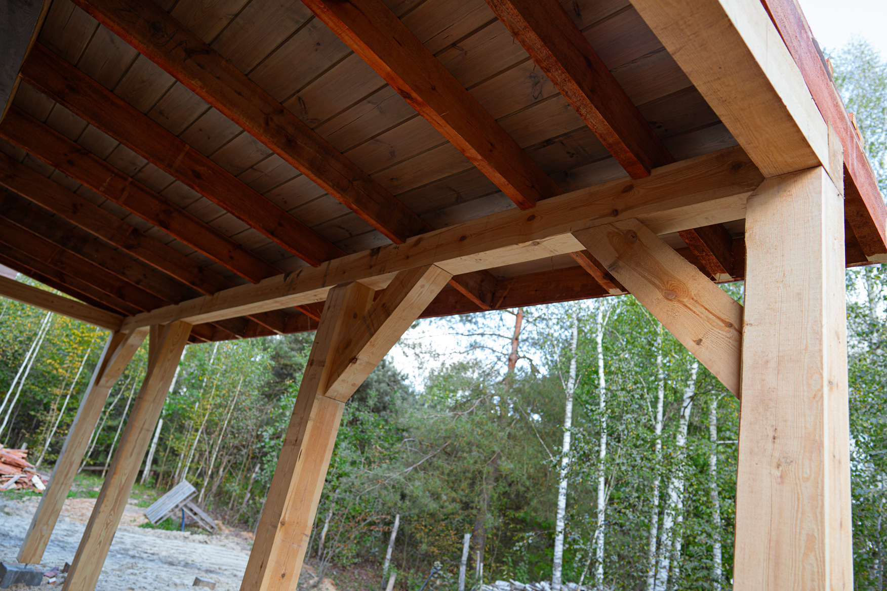 dom z drewna księżycowego