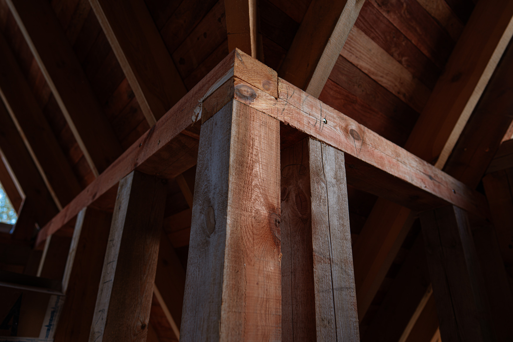 dom z drewna księżycowego