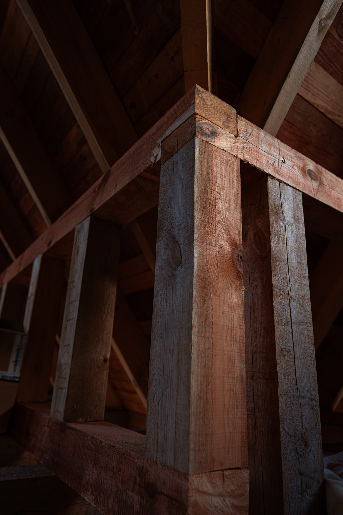 dom z drewna księżycowego