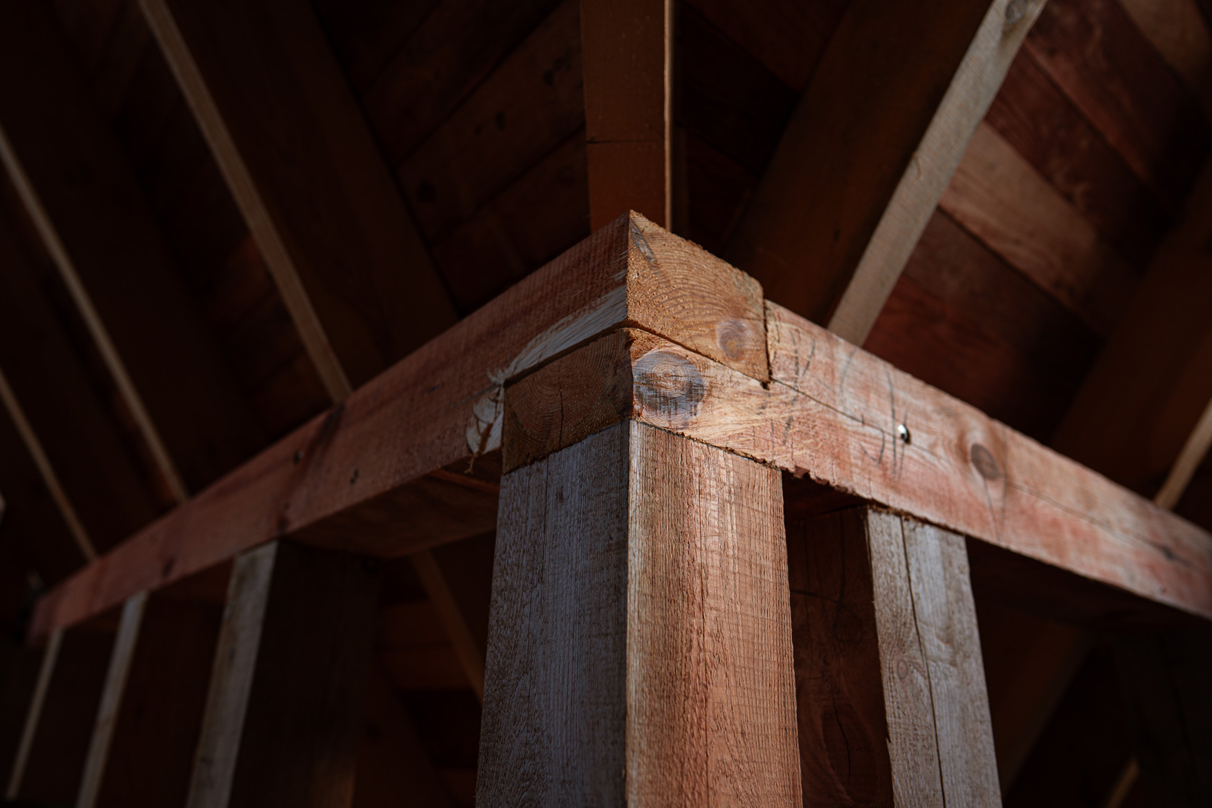 dom z drewna księżycowego