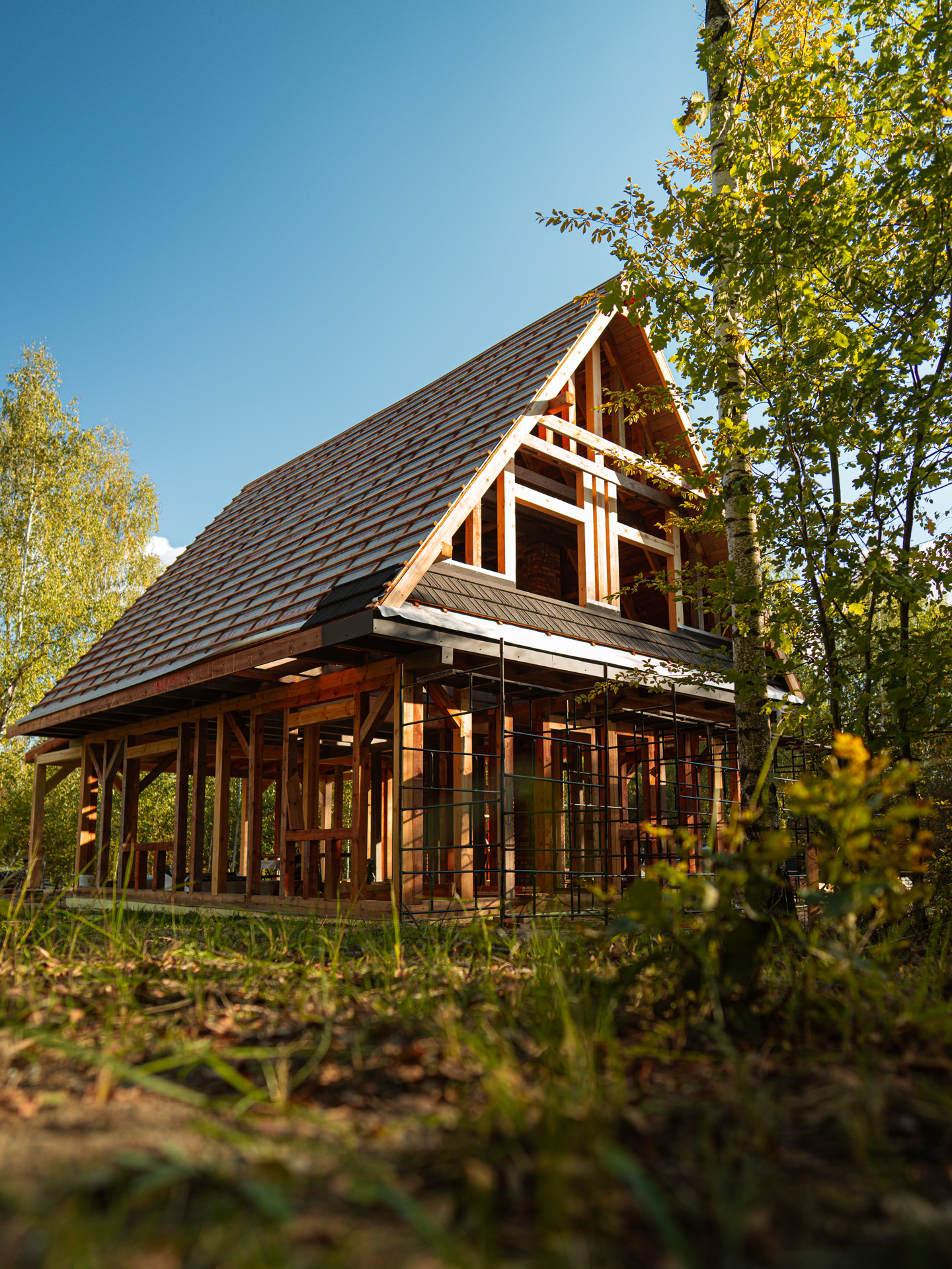 domy-z-drzewa-księżycowego domy z drzewa księżycowego